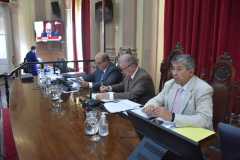 estrado-1