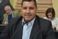sanz