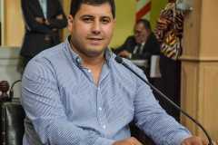 sanz