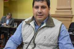 sanz