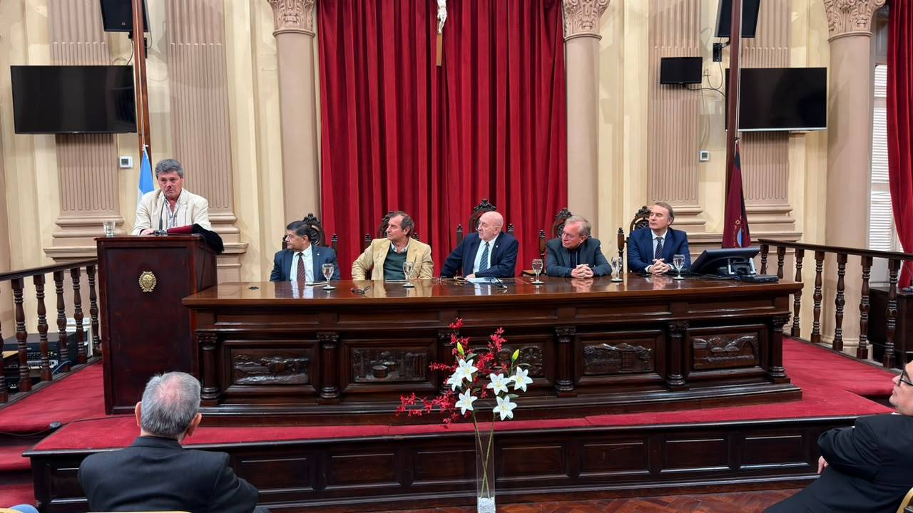 WhatsApp-Image-2026-10-29-at-16.13.57