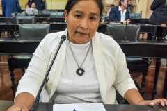 Magno