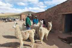 IMG-20200405-WA0028