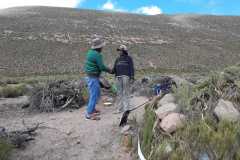 IMG-20200405-WA0023