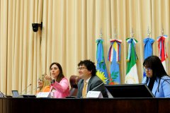 Comision-Fed-Cambio-climatico-Vier-26-Agos_91