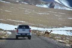 WhatsApp-Image-2022-07-04-at-10.10.42-AM-1