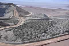 WhatsApp-Image-2022-07-04-at-10.10.50-AM