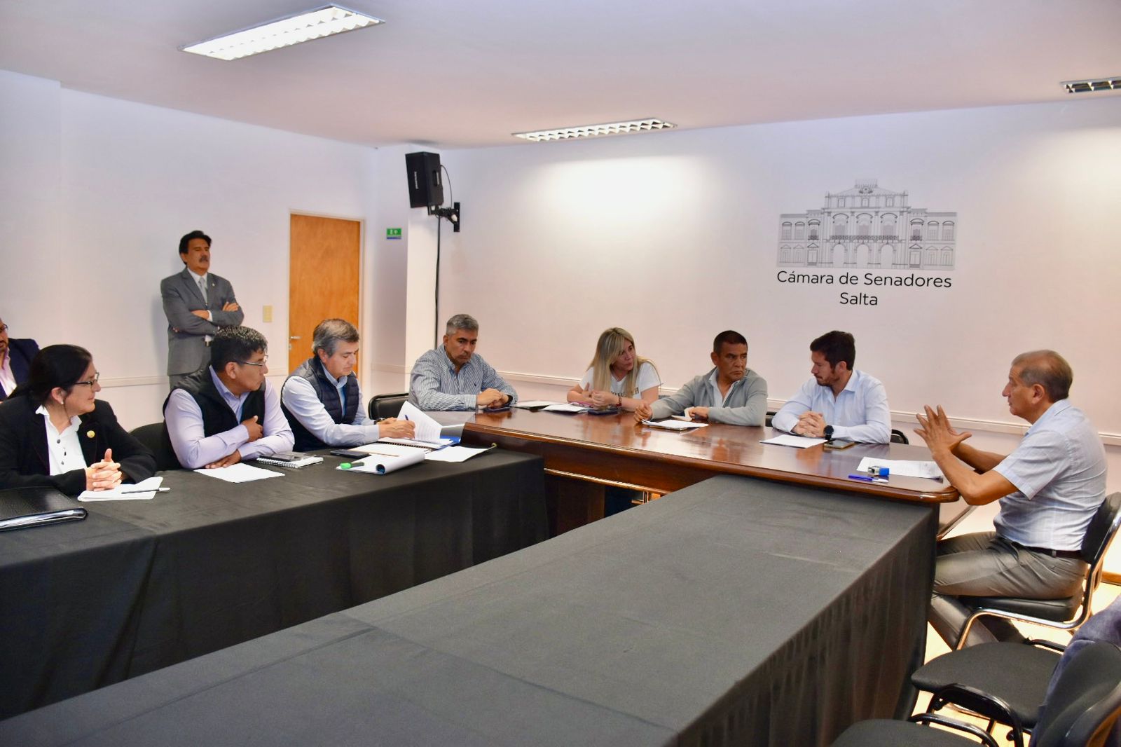 El Senado avanza en un Proyecto de Ley para incorporar la <b>Inteligencia Artificial</b> en el ... thumbnail